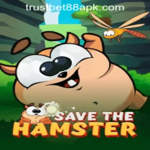 Exploring SavetheHamster: A Charming Game Experience